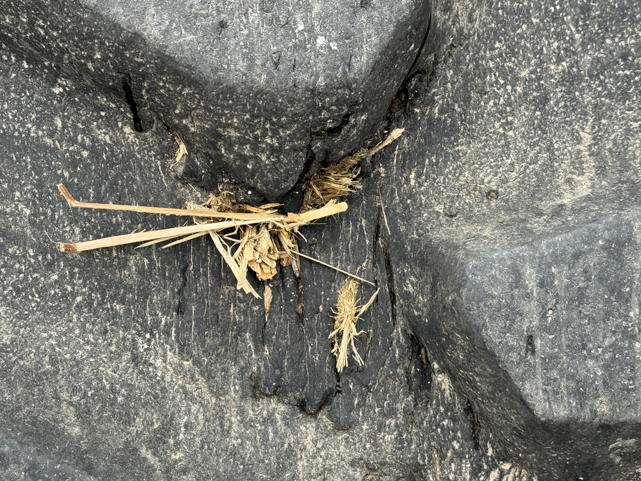 2023 John Deere S780 Image 4