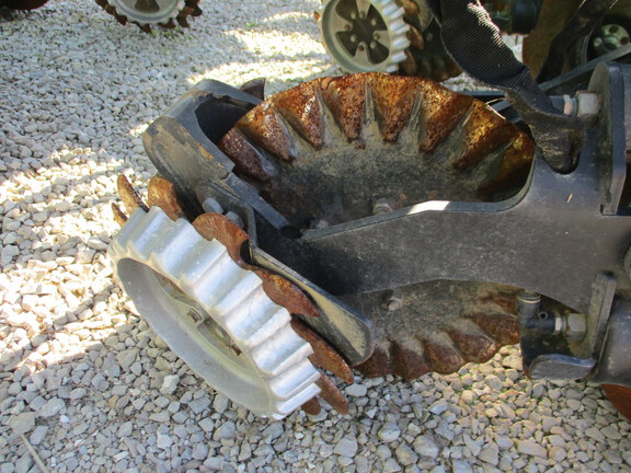 75974384_large_56091.jpg