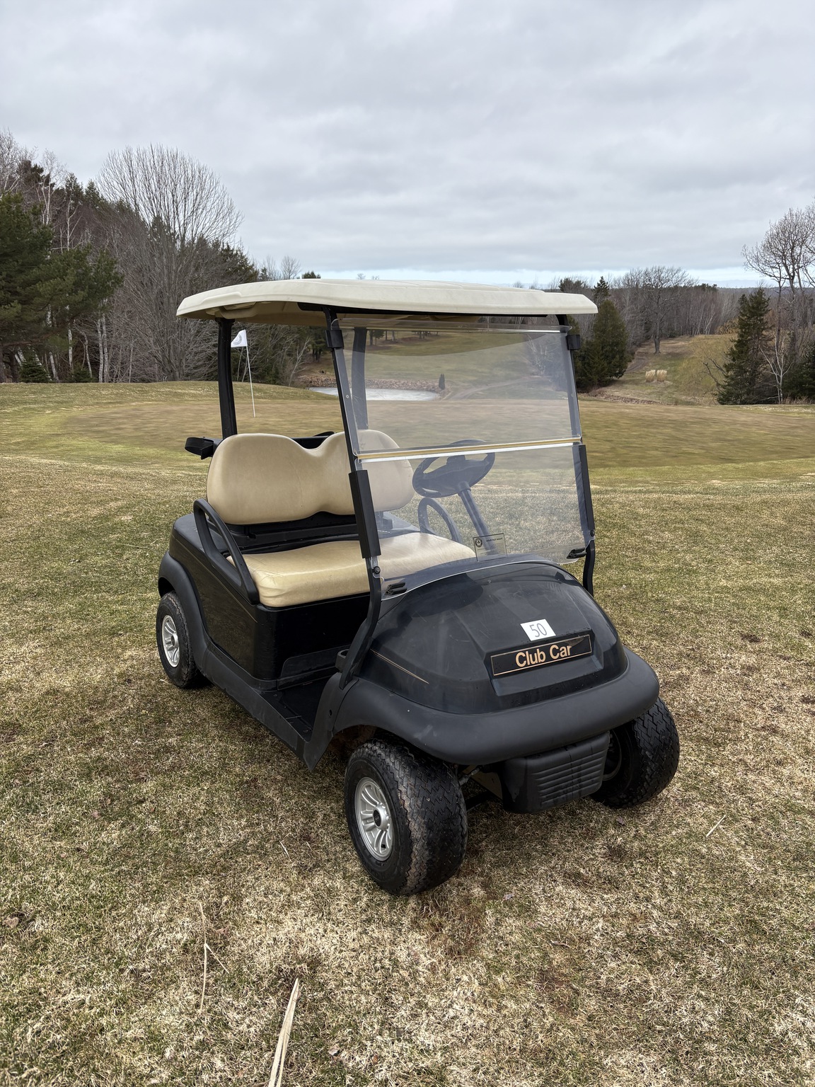 2016 Club Car precedent Image 1