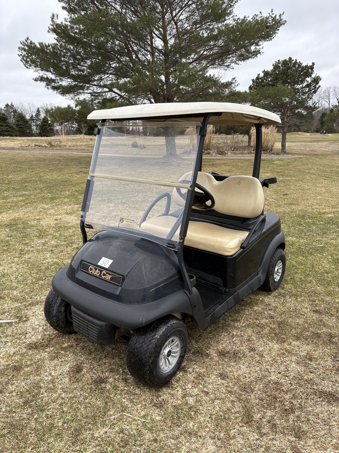 2016 Club Car precedent Image 2