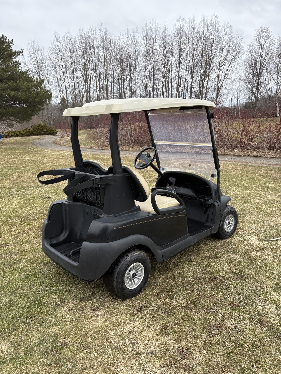 2016 Club Car precedent Image 4