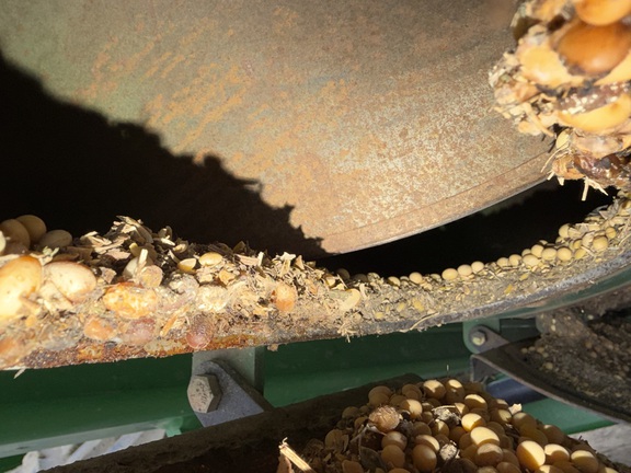 2014 Brent 1596 - Photo20