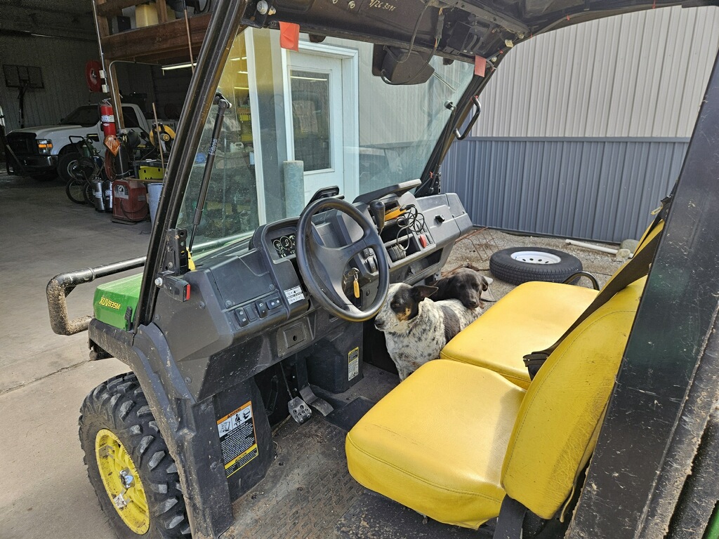 2021 John Deere XUV 835M Image 6