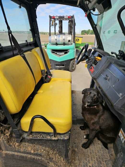 2021 John Deere XUV 835M Image 11