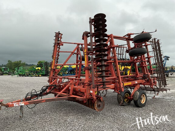Photo of Sunflower 6432-30