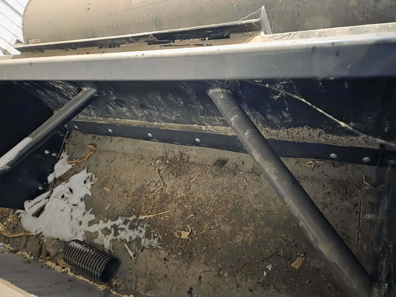 2022 Blue Diamond 120113 Image 2