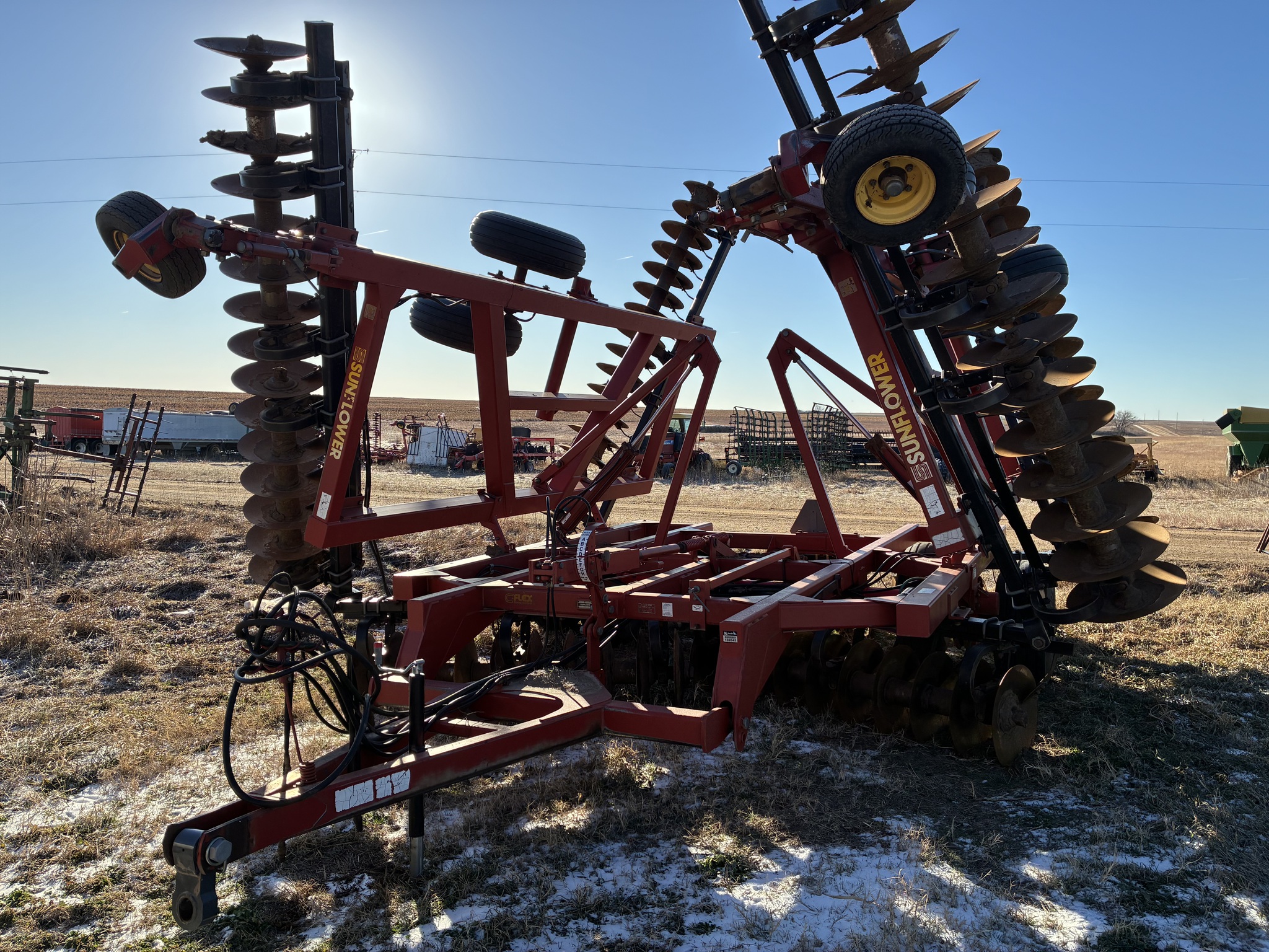 Sunflower 1433-35 Image 2