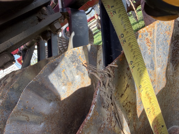 Photo of 2021 Sunflower 6631-31