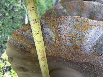 Photo of 2021 Sunflower 6631-31