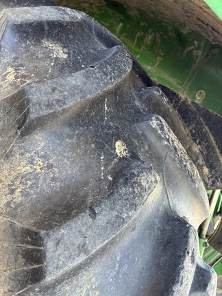 79904830_large_1834.jpg