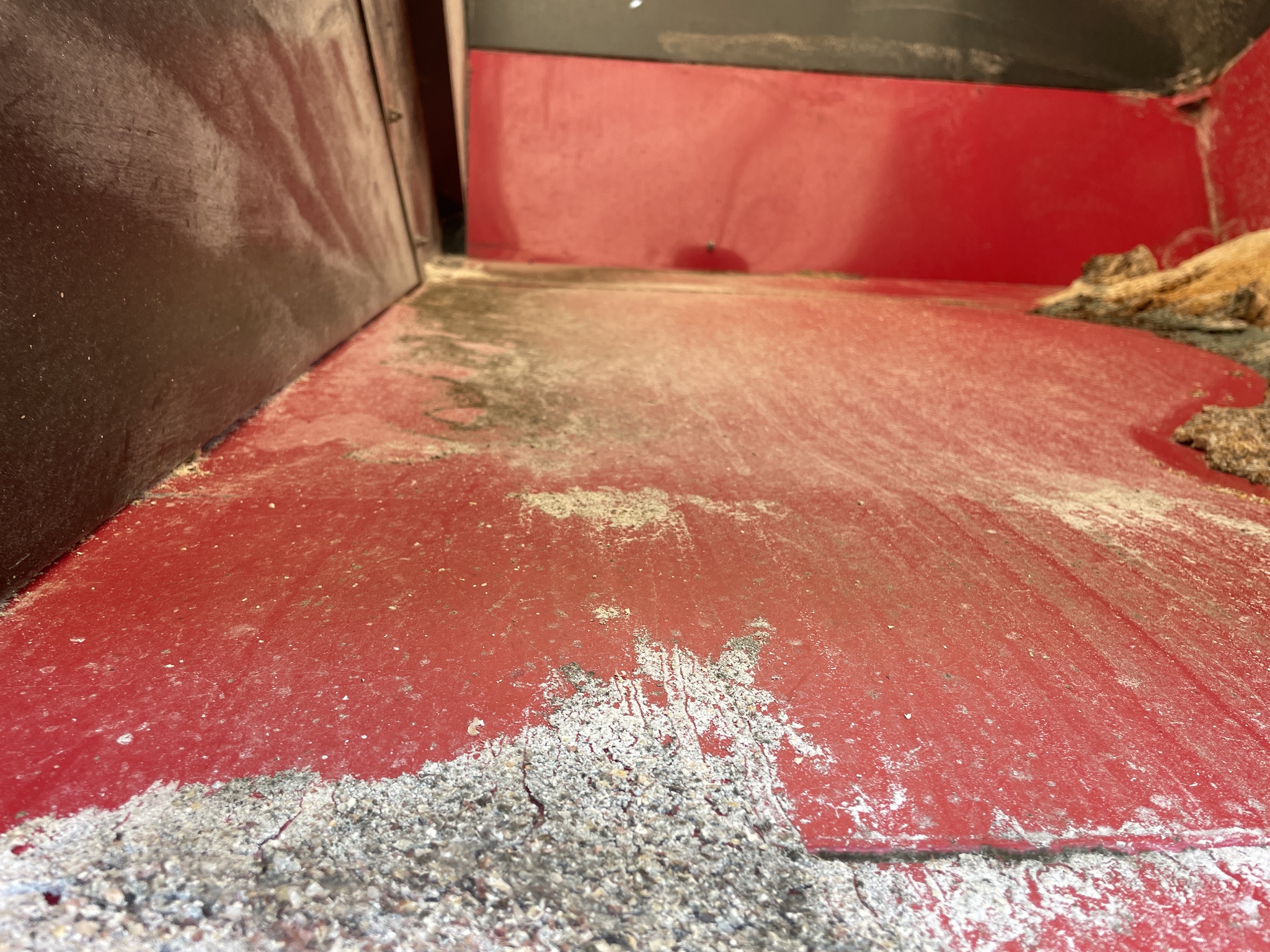 2019 Bach-Run 387 Image 7