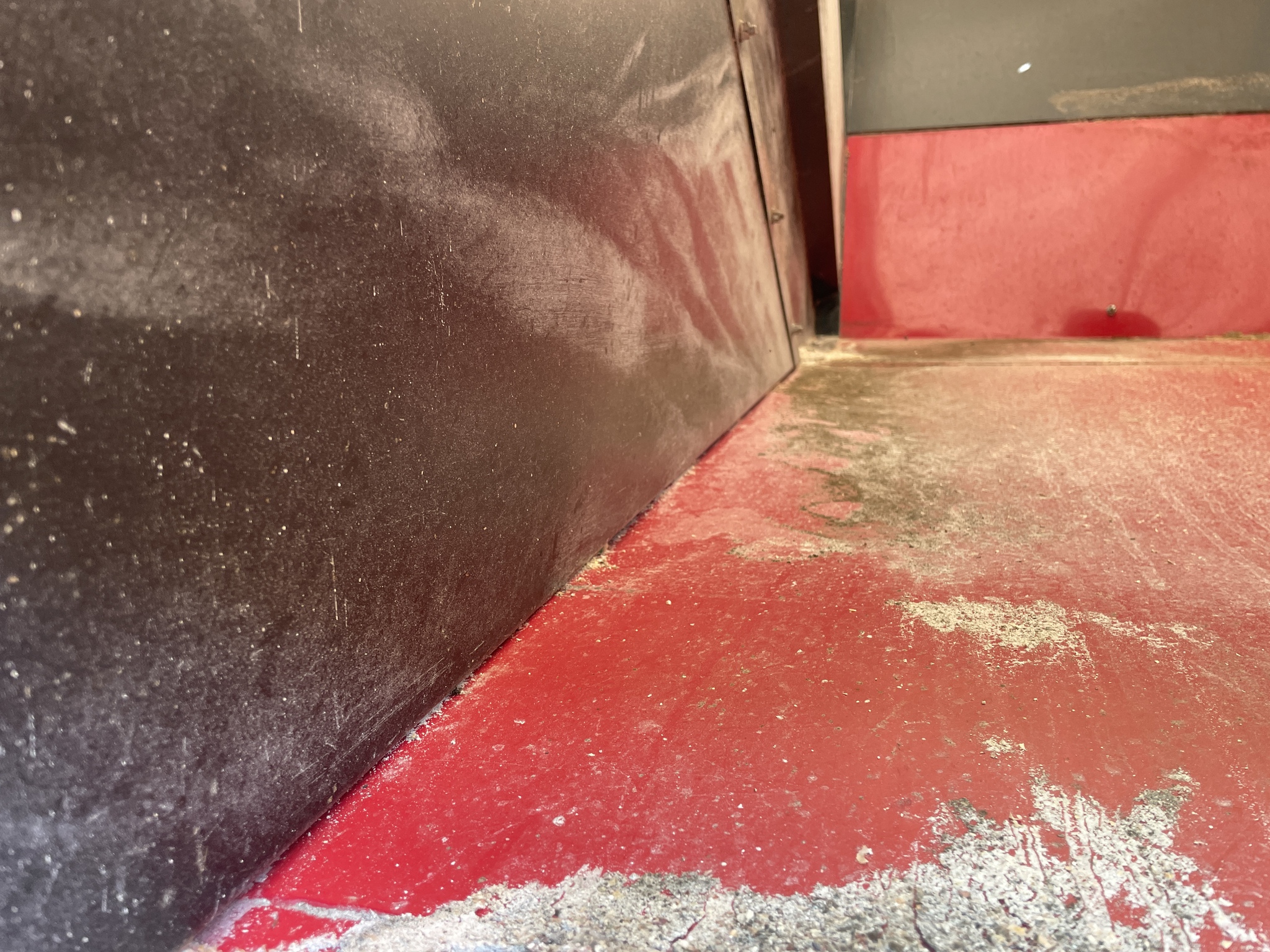 2019 Bach-Run 387 Image 8