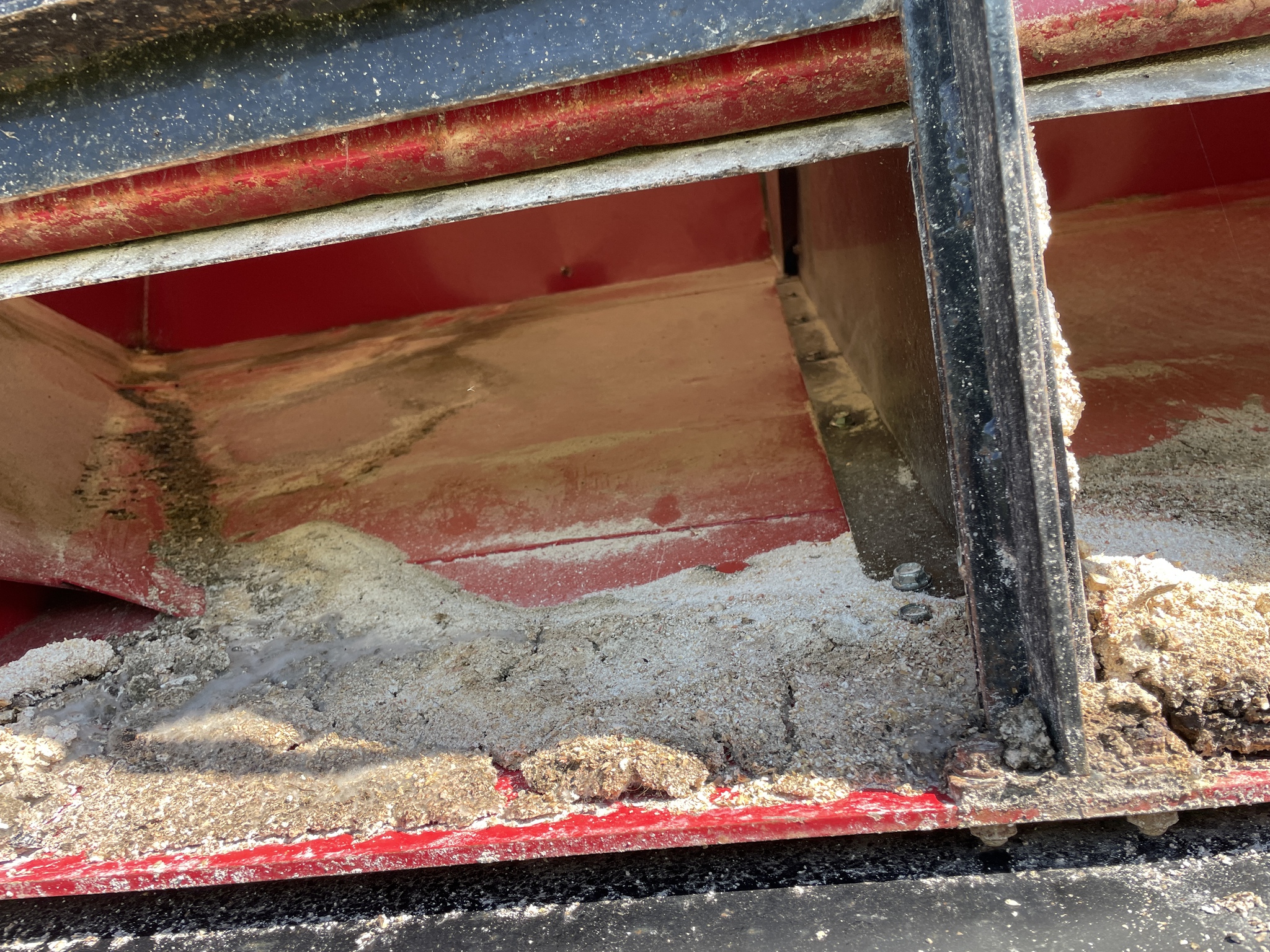 2019 Bach-Run 387 Image 9