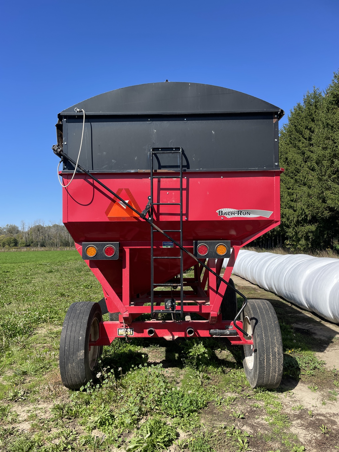 2019 Bach-Run 387 Image 2