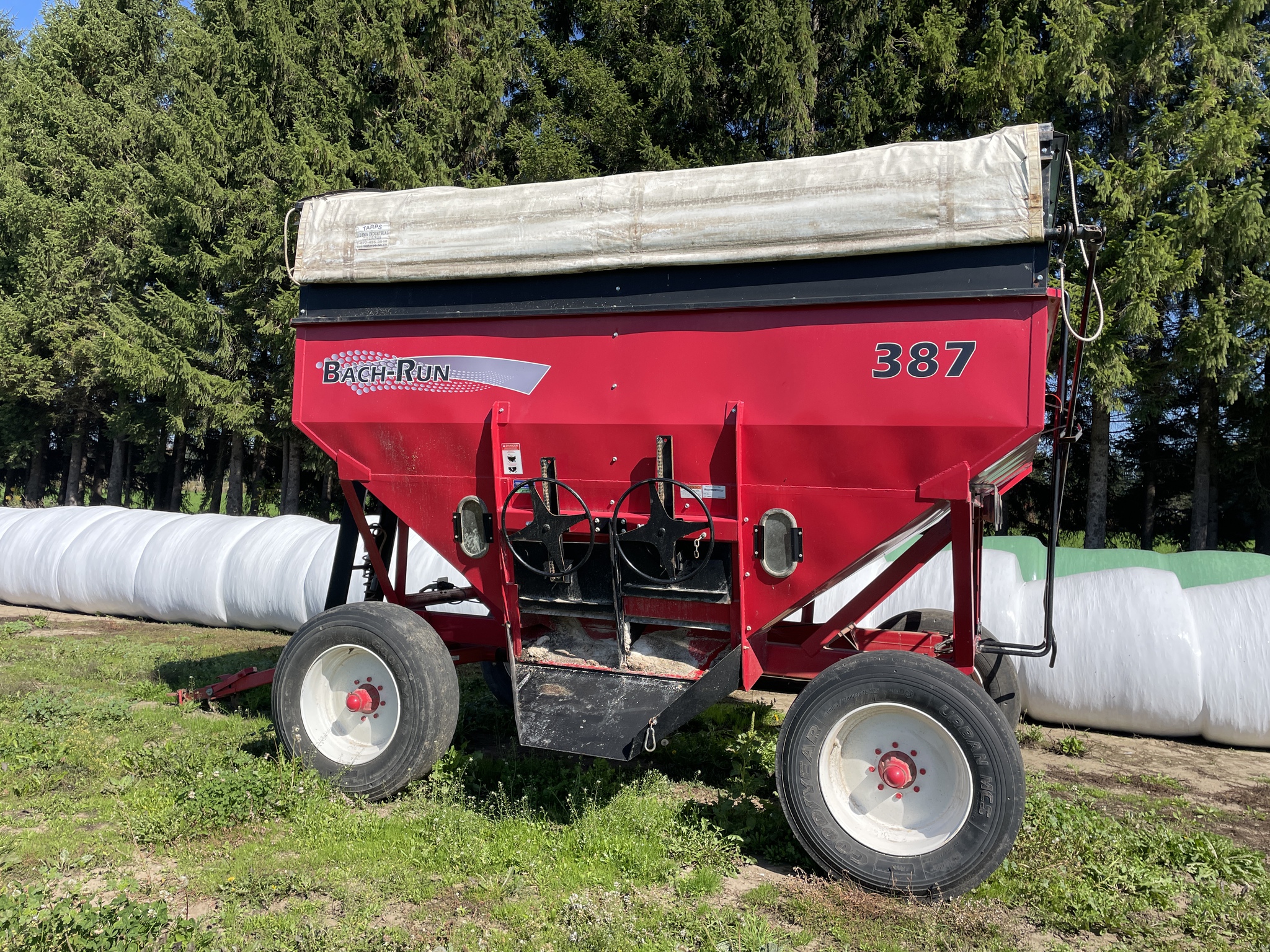 2019 Bach-Run 387 Image 1