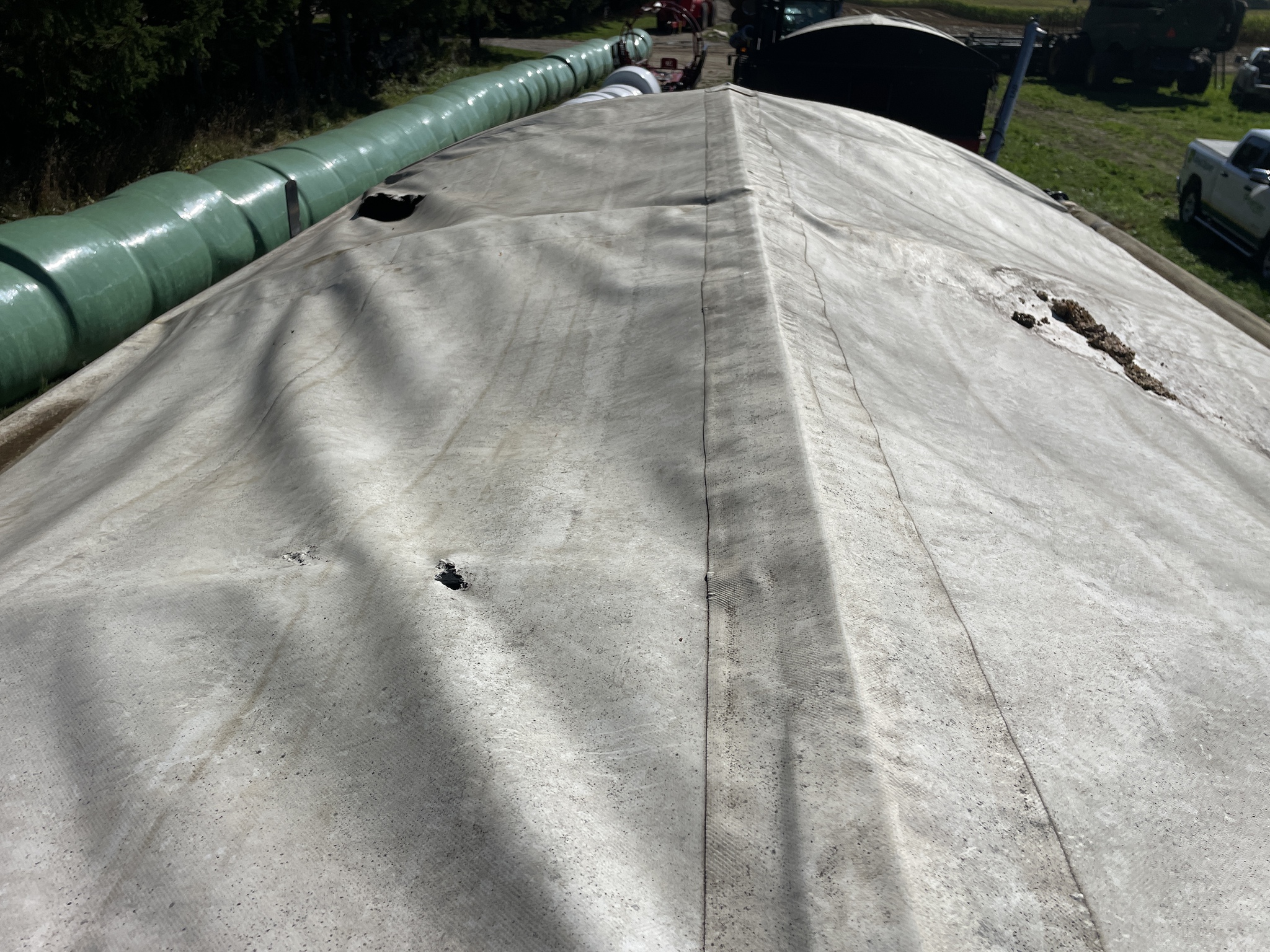 2019 Bach-Run 387 Image 5