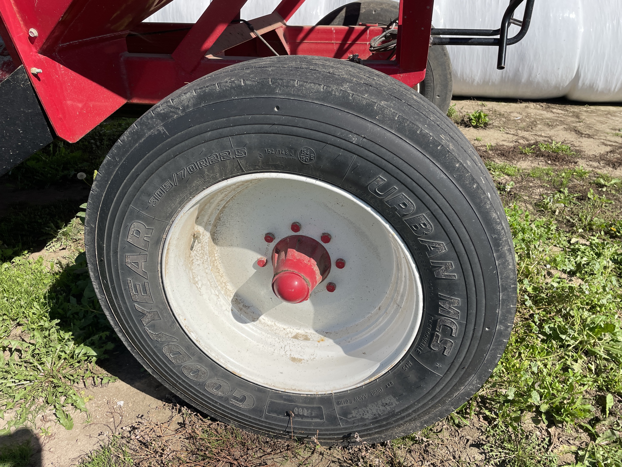 2019 Bach-Run 387 Image 10