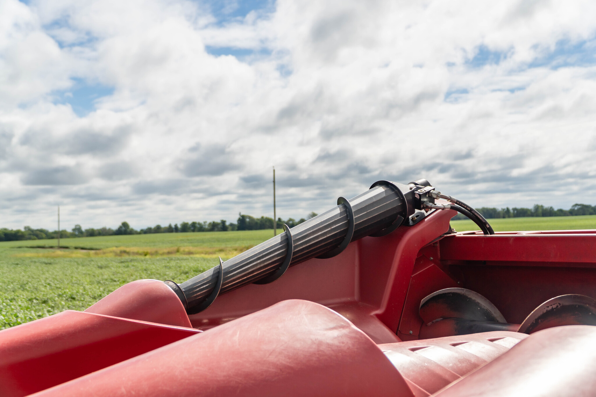 Used 2021 Case IH 4412F Corn and Row Crop headers at Koenig Equipment in Anna, OH - PhotoXL21