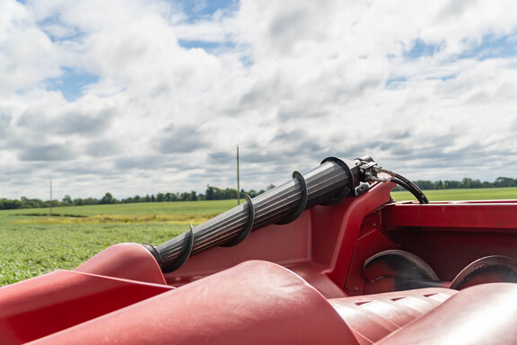Used 2021 Case IH 4412F Corn and Row Crop headers at Koenig Equipment in Anna, OH - Photo21