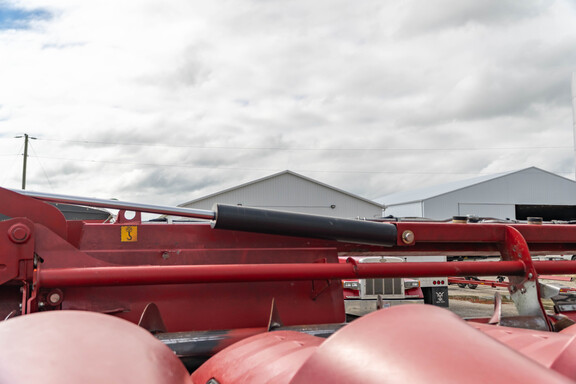 Used 2021 Case IH 4412F Corn and Row Crop headers at Koenig Equipment in Anna, OH - Photo24