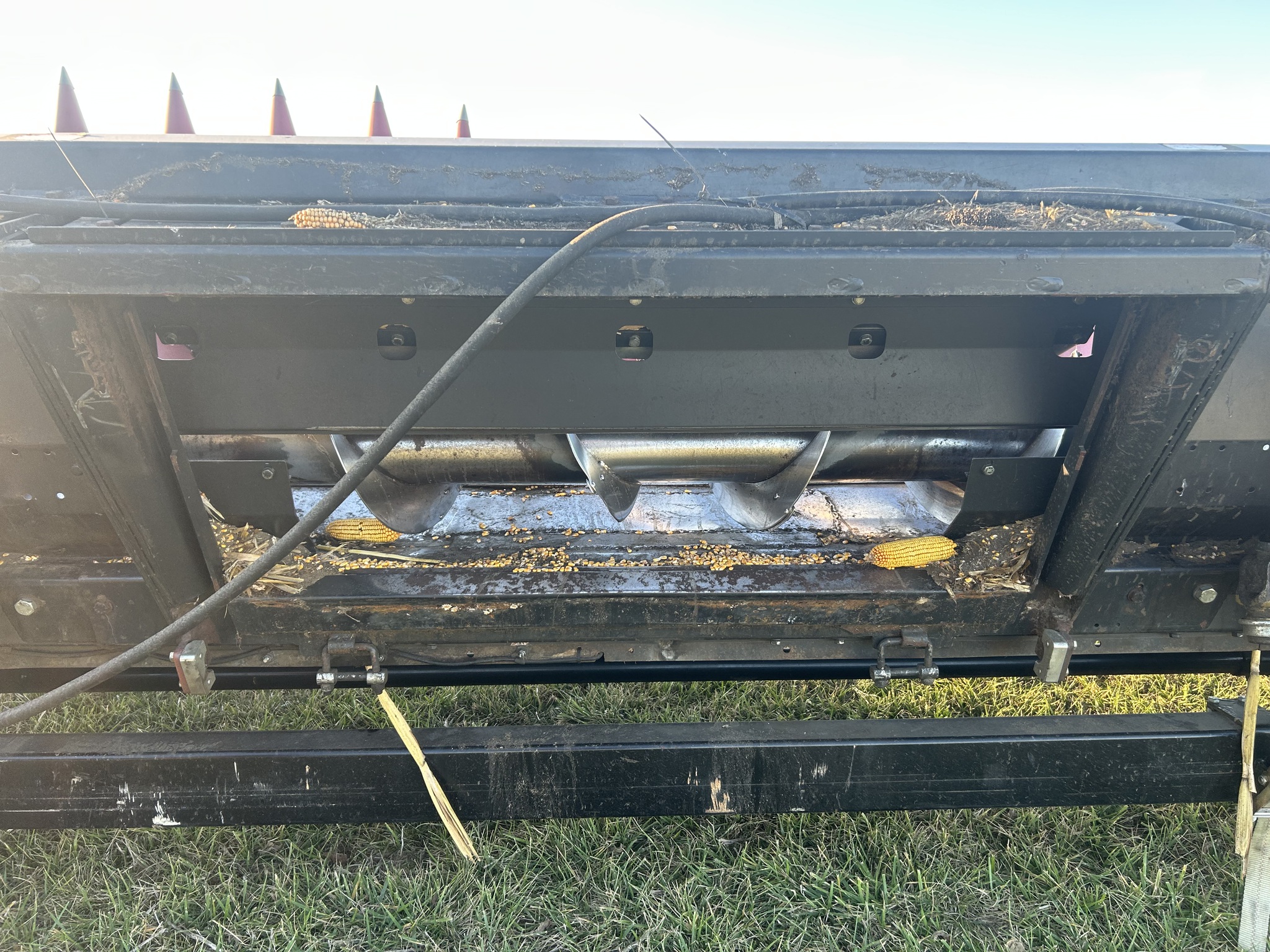 2006 Drago Series 1 Image 18