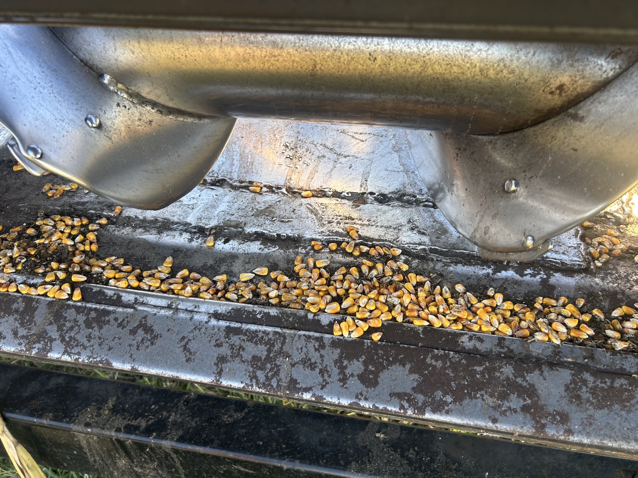 2006 Drago Series 1 Image 15