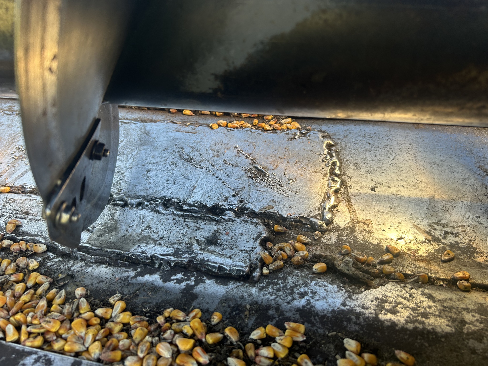 2006 Drago Series 1 Image 14