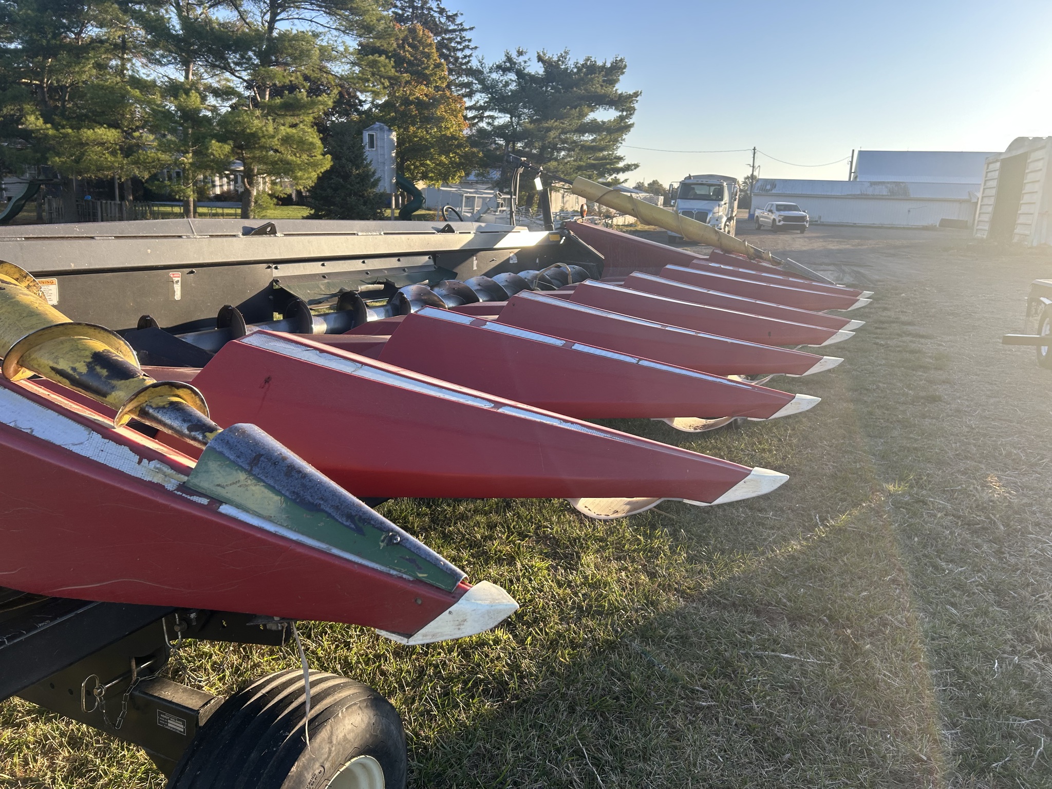 2006 Drago Series 1 Image 13