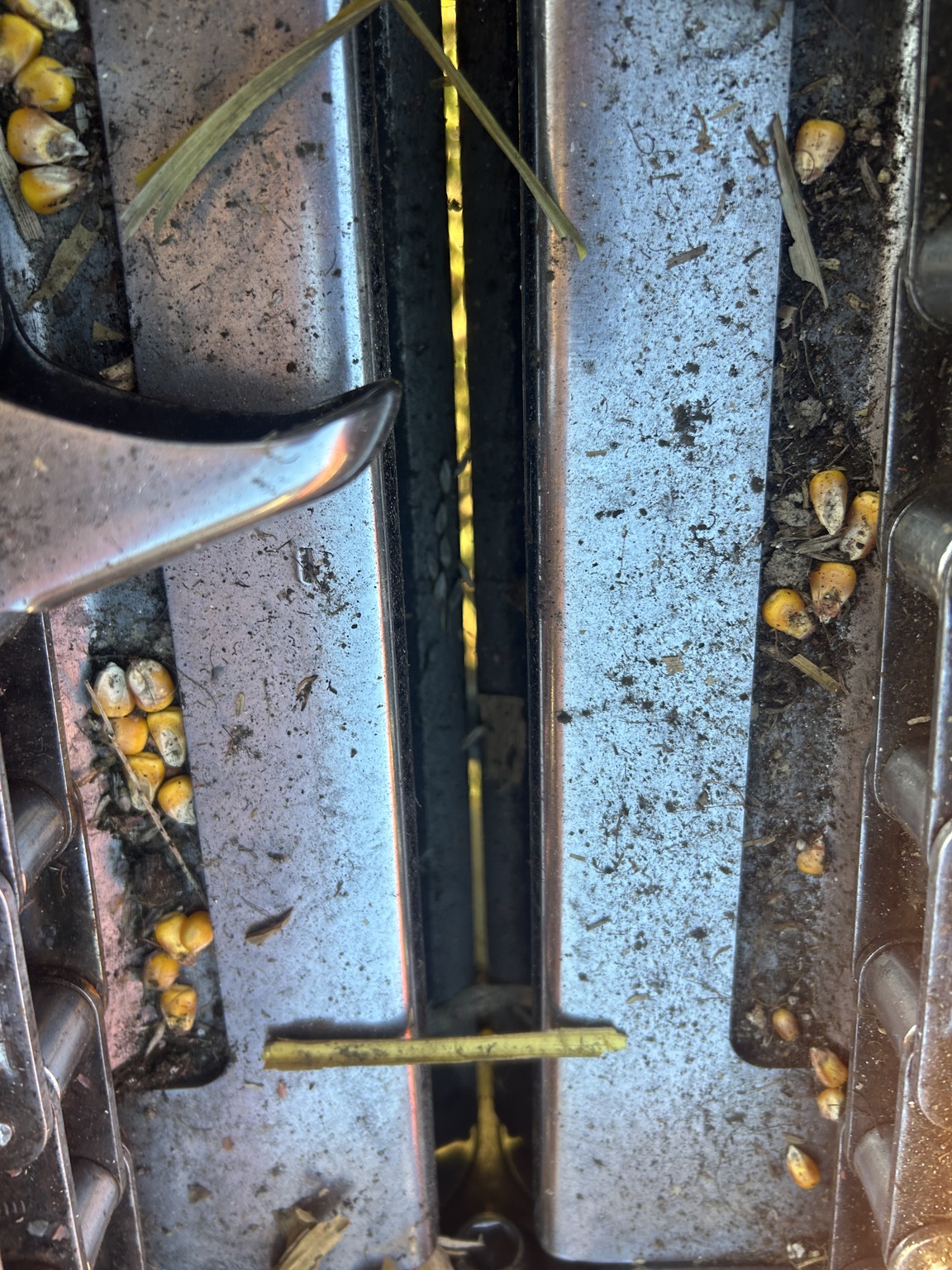 2006 Drago Series 1 Image 12