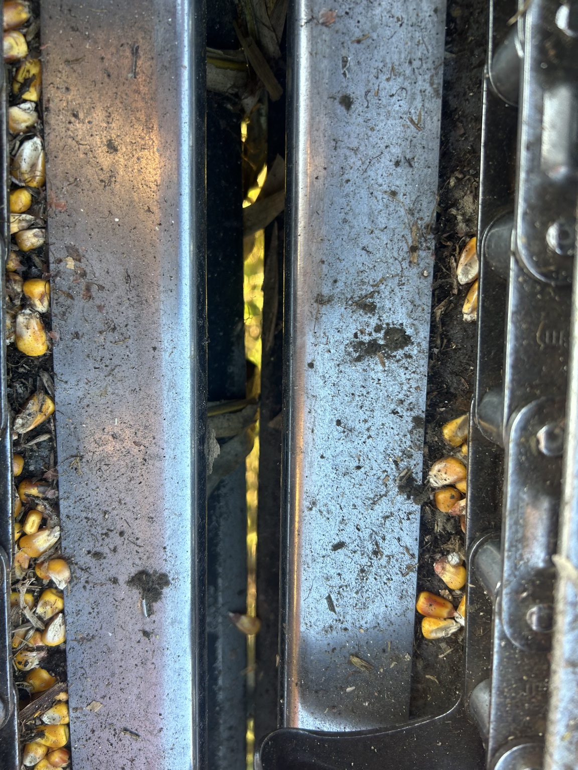 2006 Drago Series 1 Image 11