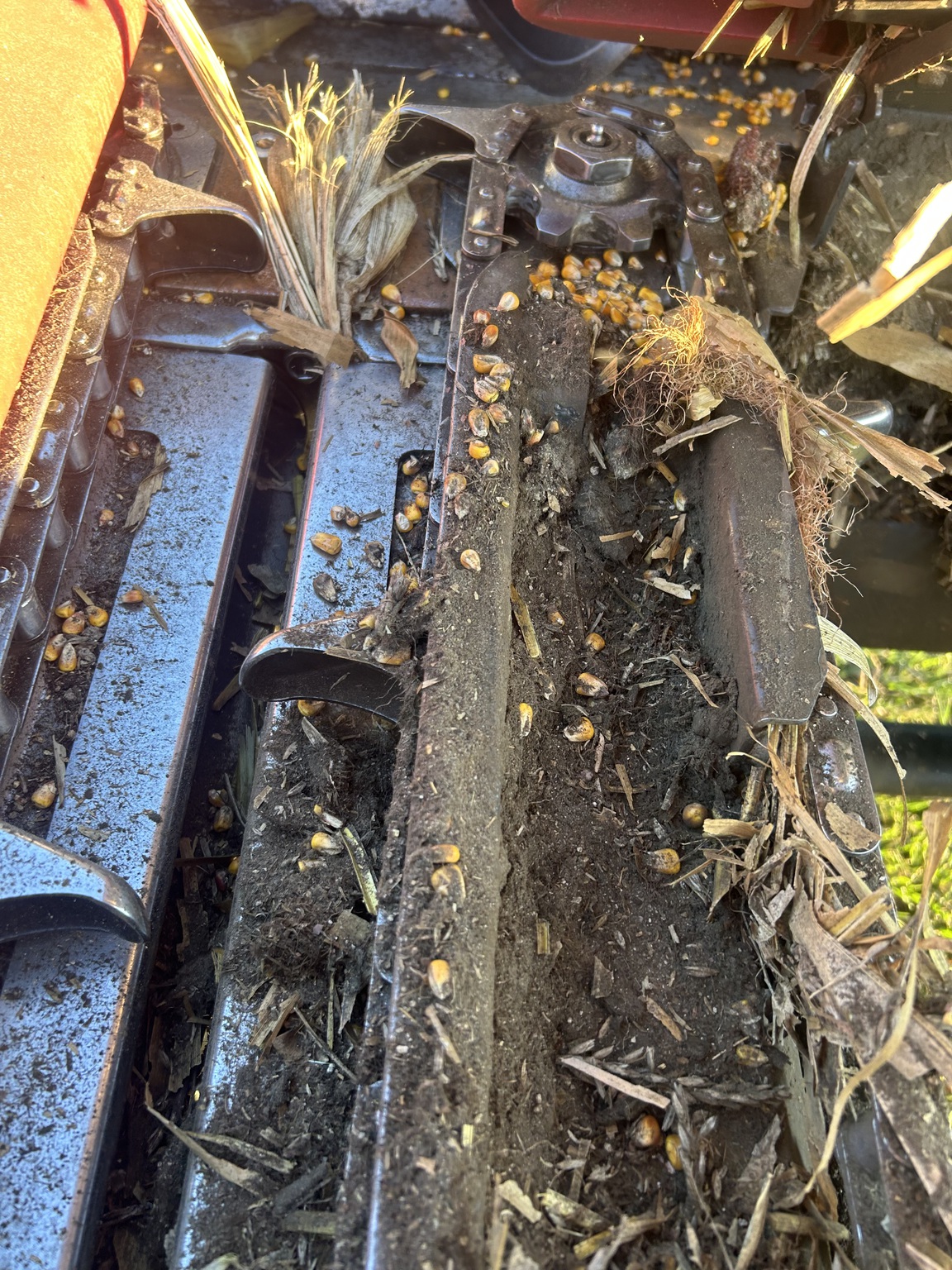 2006 Drago Series 1 Image 10