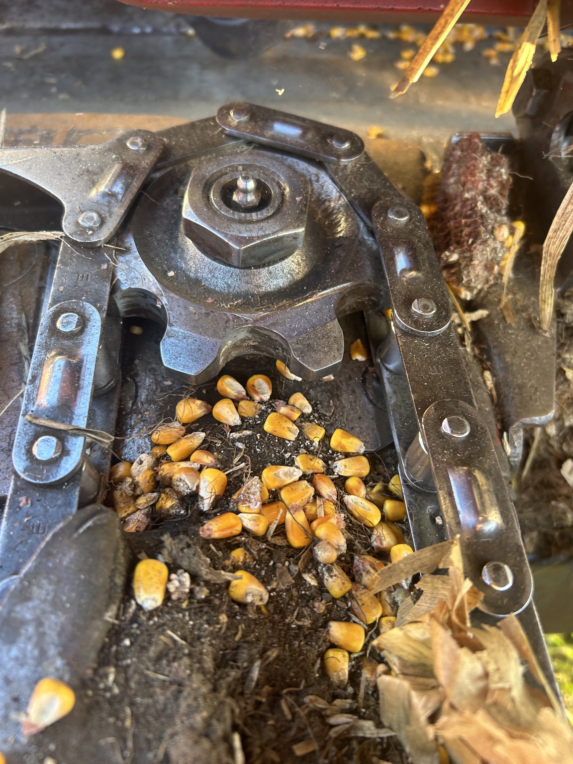 2006 Drago Series 1 Image 9