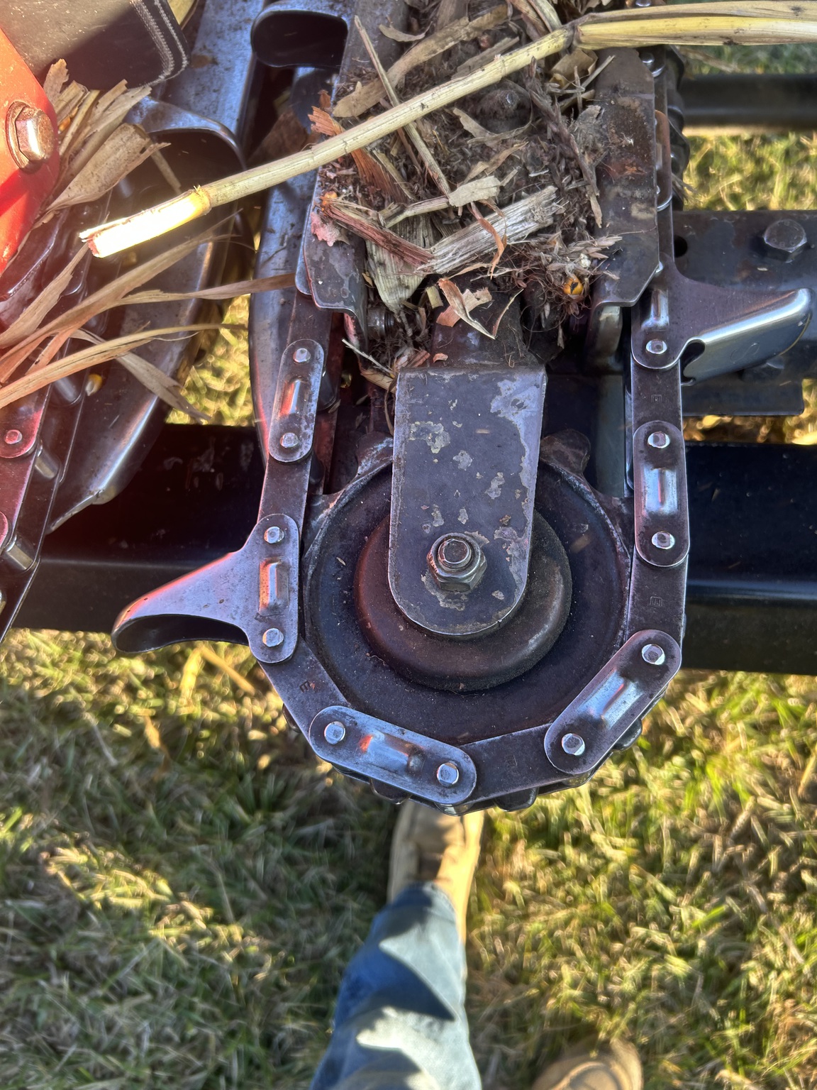 2006 Drago Series 1 Image 8