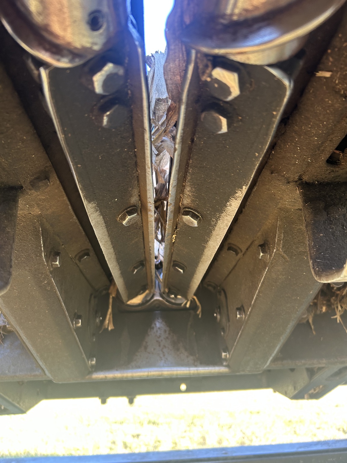 2006 Drago Series 1 Image 7