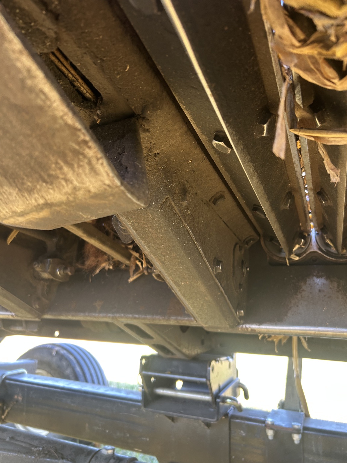 2006 Drago Series 1 Image 6