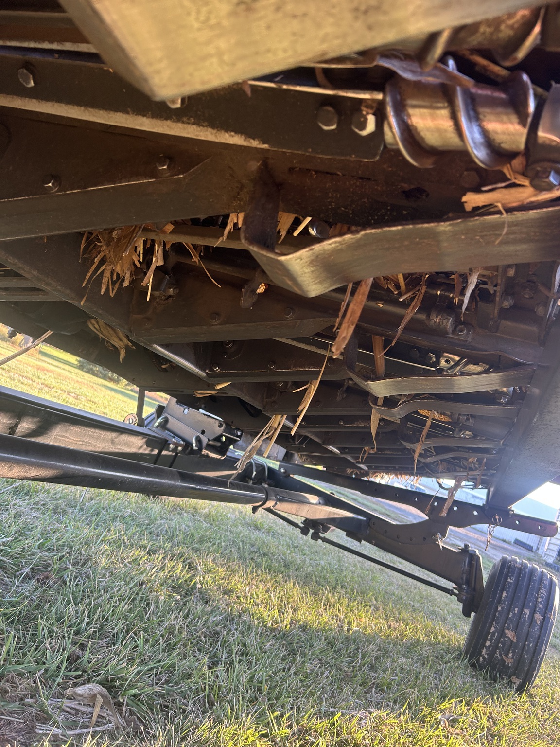 2006 Drago Series 1 Image 5