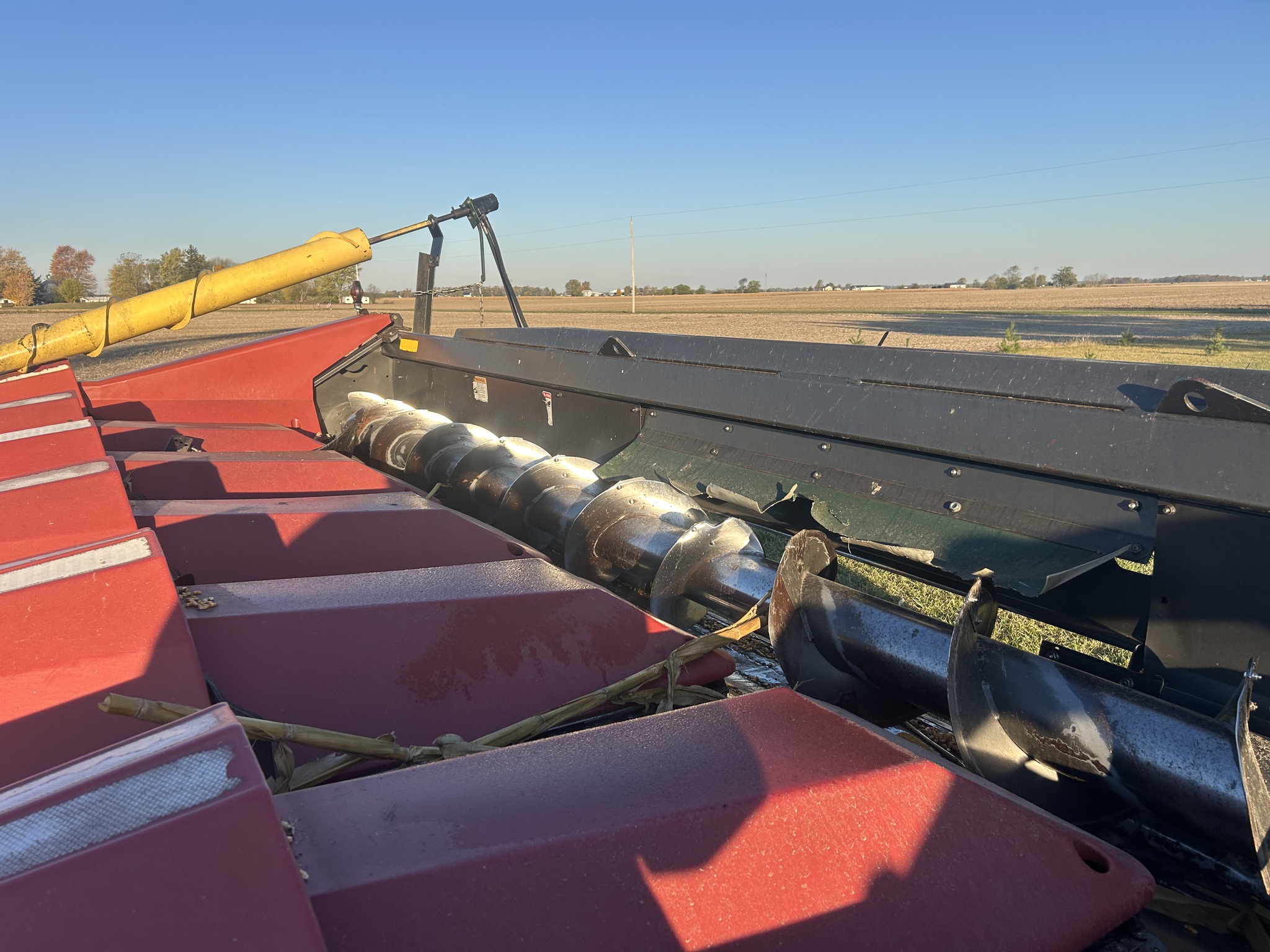 2006 Drago Series 1 Image 4