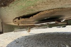 2022 John Deere 3038E Image 38