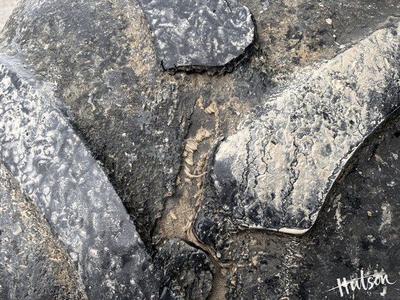 Photo of 2022 John Deere S780