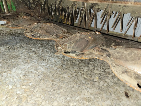 Photo of 2009 John Deere 630