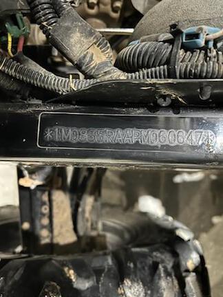 77077687_large_16478.jpg