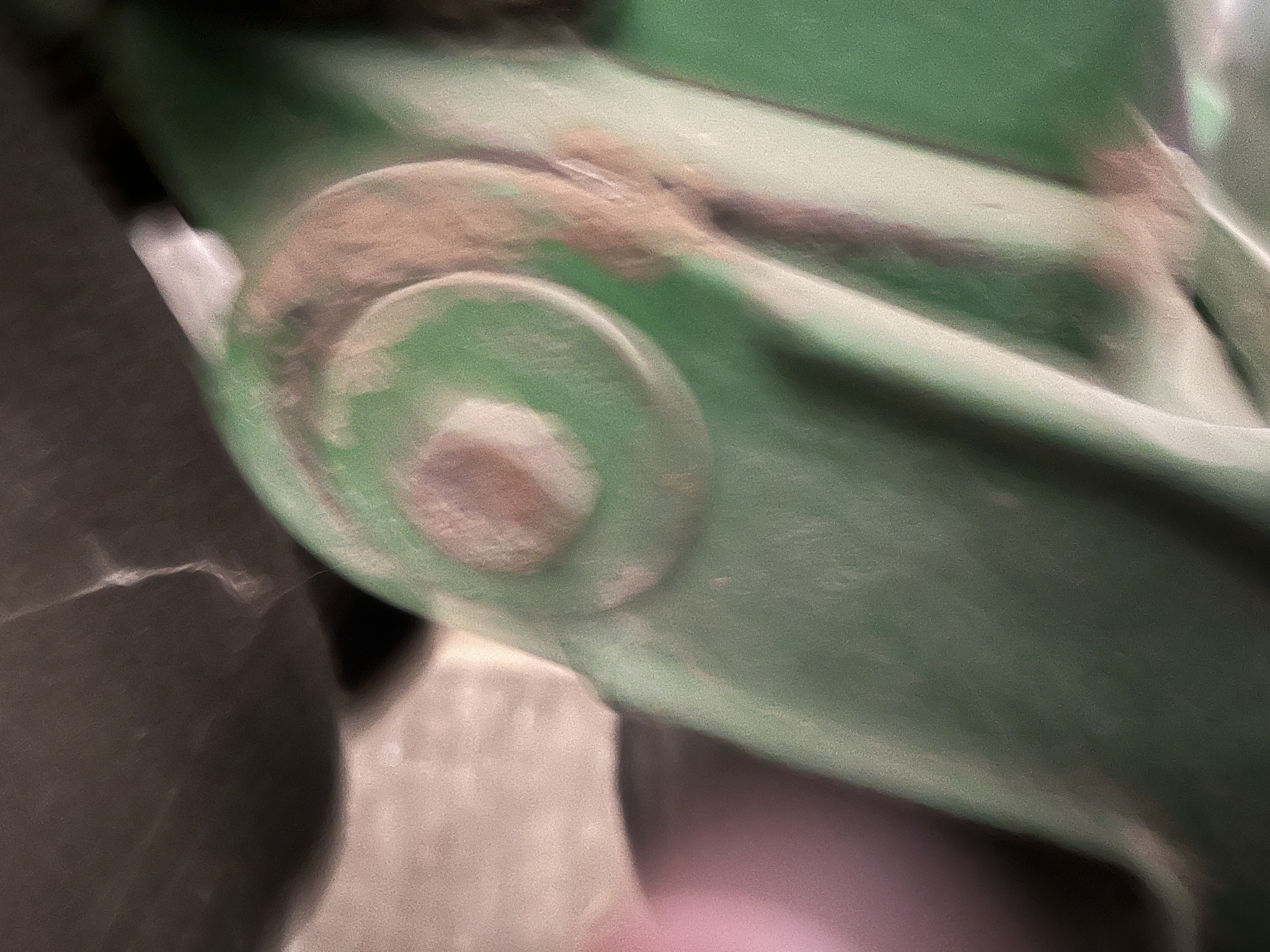 2010 John Deere 1770NT CCS at Heritage Tractor in Seneca, KS