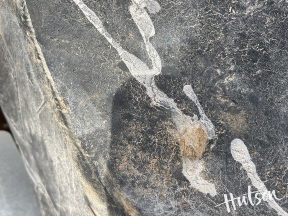 Photo of 2021 Hagie STS12