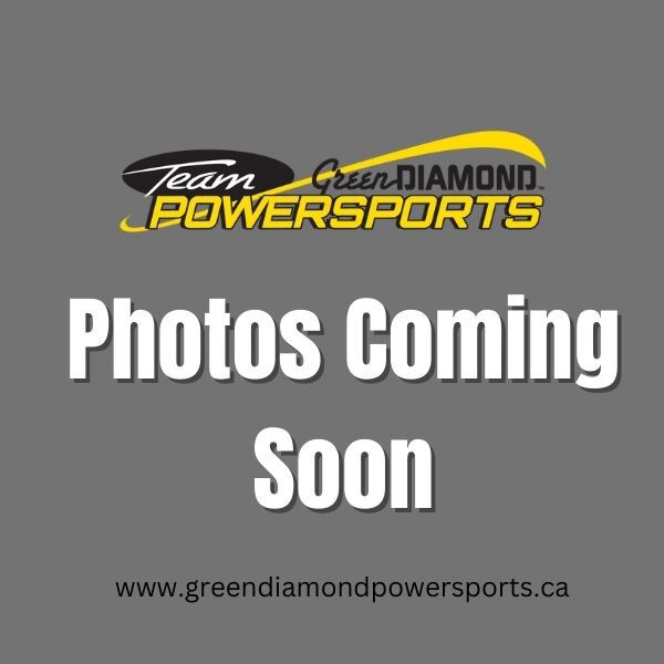 2021 CFMOTO ZFORCE 800 EX Image 1