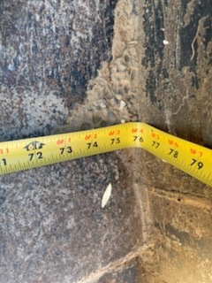 John Deere MP78B Image 7