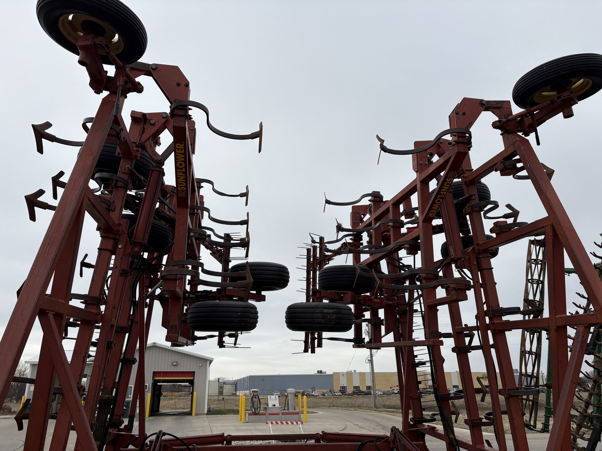 Sunflower 5551-48 Image 6