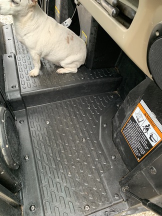 Photo of 2024 John Deere XUV 835R