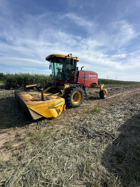 2023 New Holland Speedrower 220 Image 1