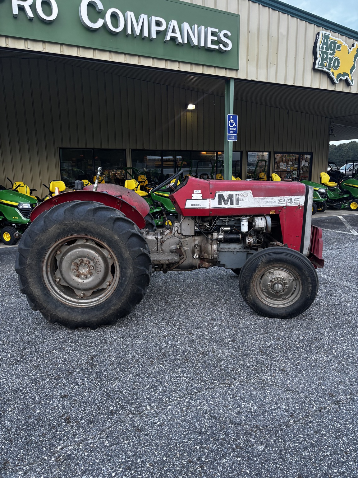 1978 Massey Ferguson 245 Image 3