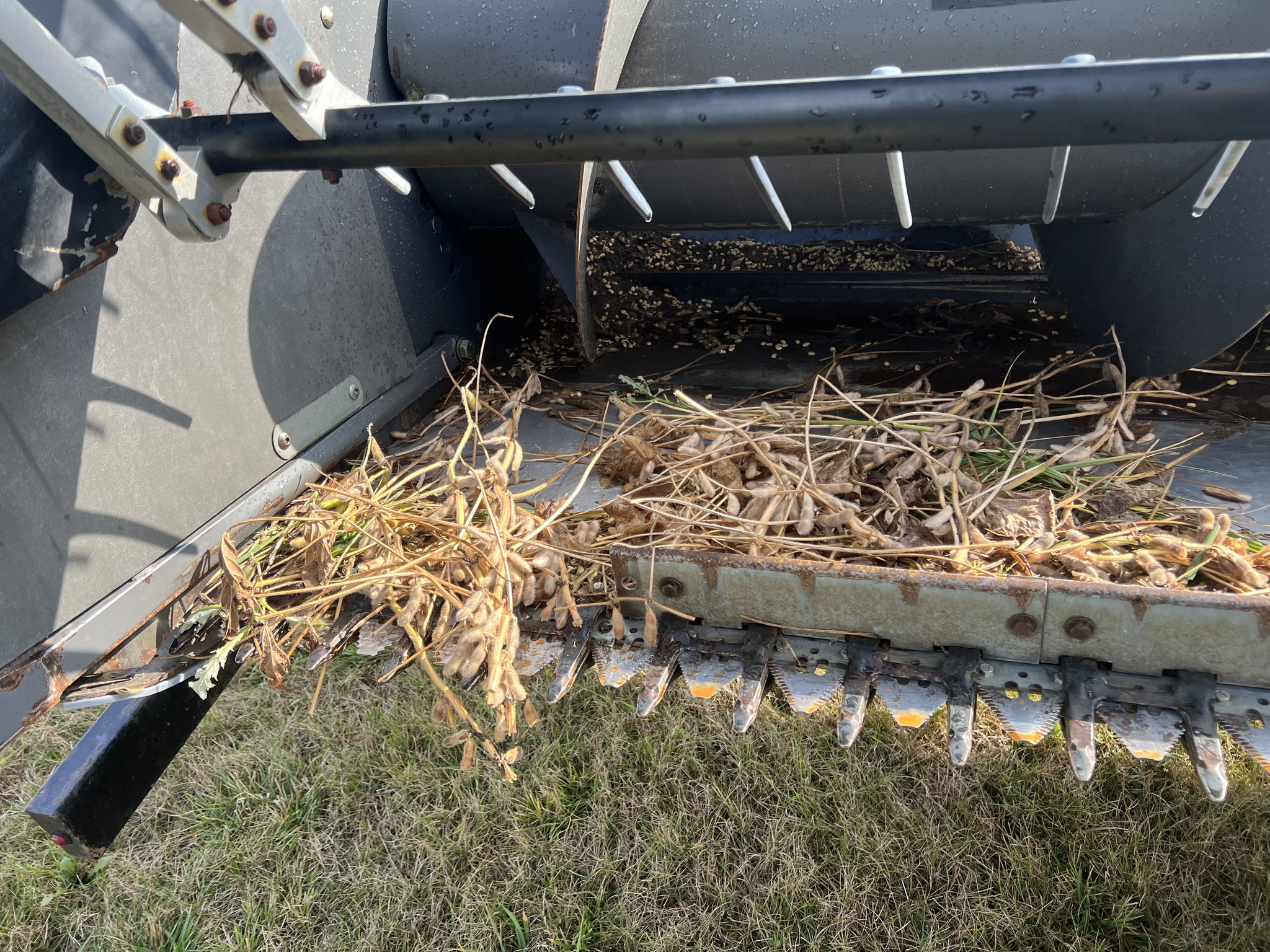 2009 Massey Ferguson 8200-30F Image 6